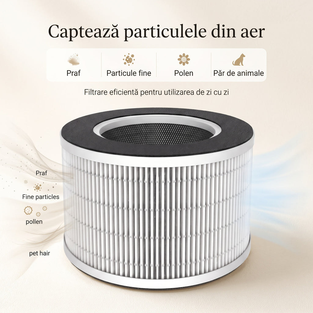 Filtrul VK-6080B și pictograme pentru praf, particule fine, polen și păr de animale captate din aer