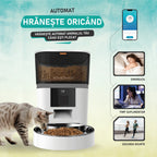 hranitor automat cu rezervor mare 6L pentru alimentarea animalelor pe mai multe zile