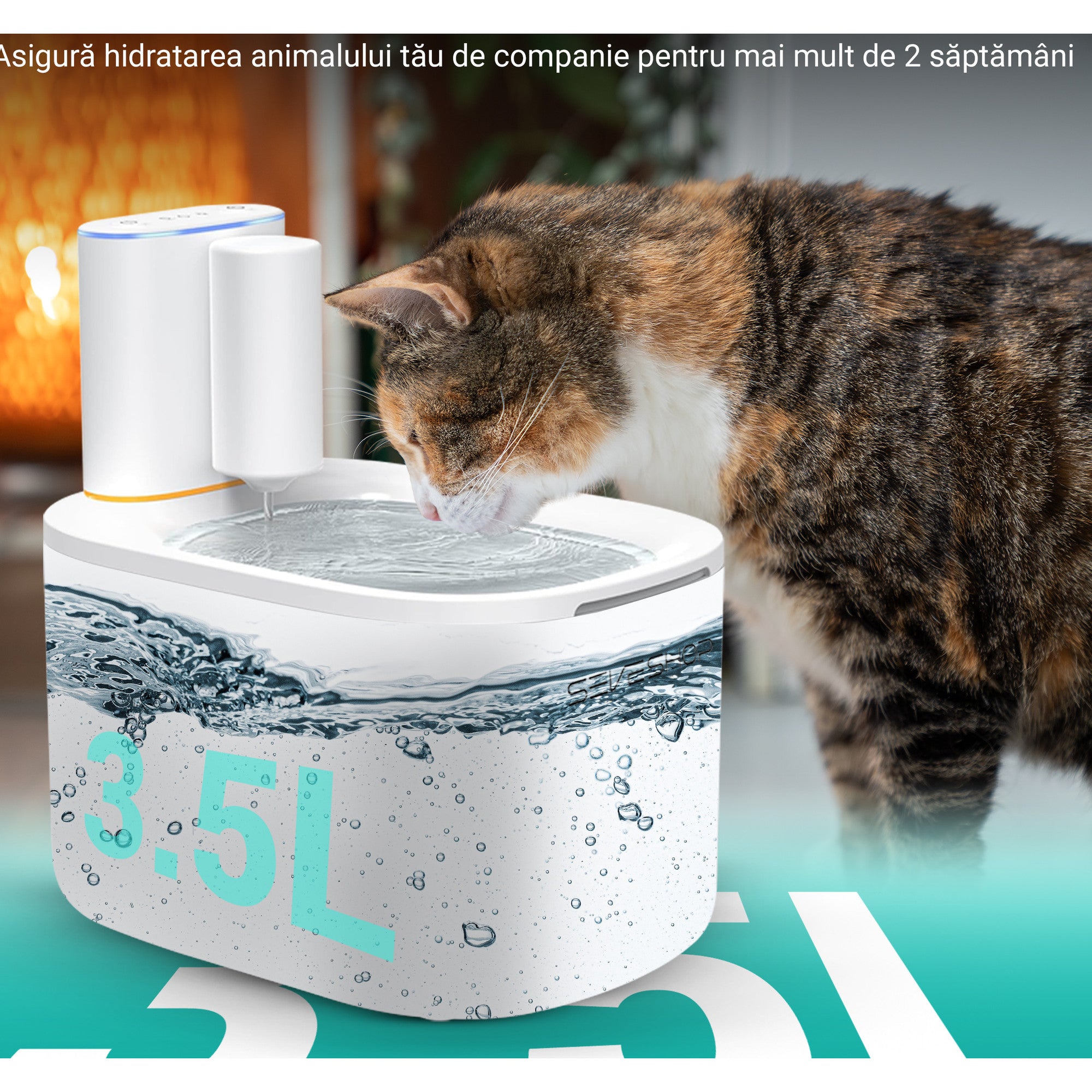 fantana apa pentru pisici si caini cu design compact si utilizare zilnica acasa